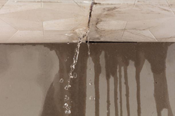 Professional Burst Pipe Cleanup technician working in Eastsound, WA